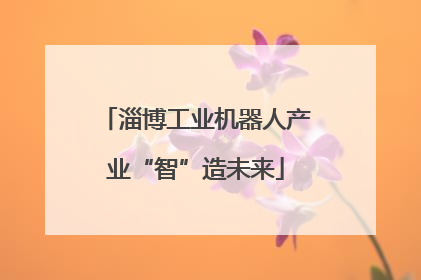 淄博工业机器人产业“智”造未来