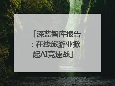 深蓝智库报告：在线旅游业掀起AI竞速战