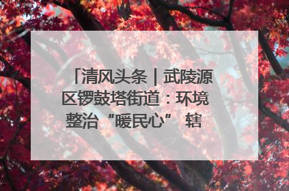 清风头条｜武陵源区锣鼓塔街道：环境整治“暖民心” 辖区面貌“靓”起来