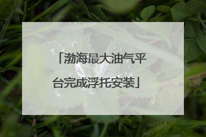 渤海最大油气平台完成浮托安装