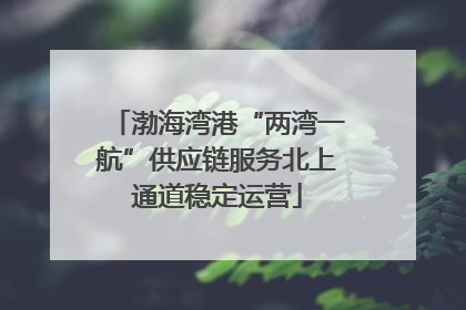 渤海湾港“两湾一航”供应链服务北上通道稳定运营
