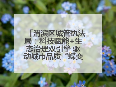 渭滨区城管执法局：科技赋能+生态治理双引擎 驱动城市品质“蝶变跃升”