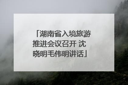 湖南省入境旅游推进会议召开 沈晓明毛伟明讲话