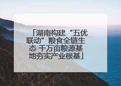 湖南构建“五优联动”粮食全链生态 千万亩粮源基地夯实产业根基