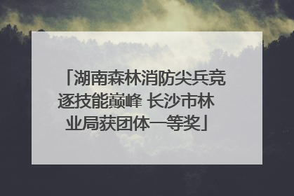 湖南森林消防尖兵竞逐技能巅峰 长沙市林业局获团体一等奖