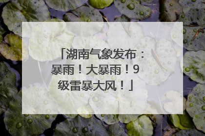 湖南气象发布：暴雨！大暴雨！9级雷暴大风！