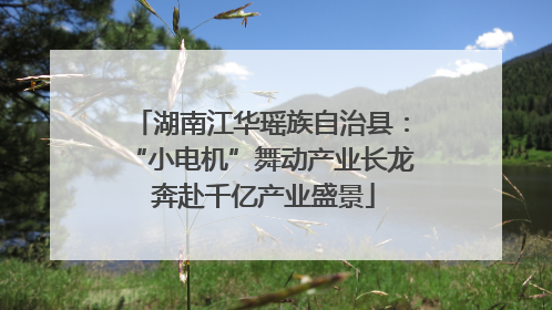 湖南江华瑶族自治县：“小电机”舞动产业长龙 奔赴千亿产业盛景