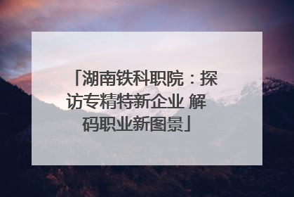 湖南铁科职院：探访专精特新企业 解码职业新图景