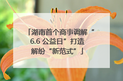 湖南首个商事调解“6.6 公益日”打造解纷“新范式”