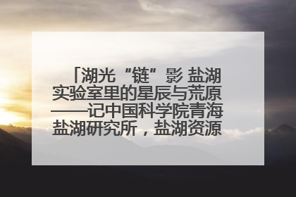 湖光“链”影 盐湖实验室里的星辰与荒原——记中国科学院青海盐湖研究所，盐湖资源化学实验室党总支书记、副主任刘忠