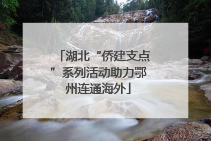 湖北“侨建支点”系列活动助力鄂州连通海外