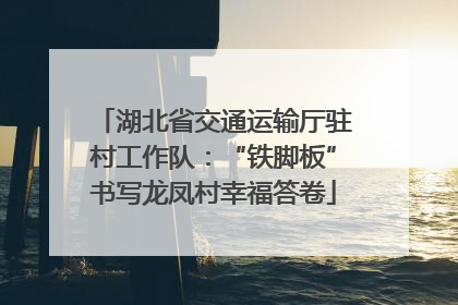湖北省交通运输厅驻村工作队：“铁脚板”书写龙凤村幸福答卷