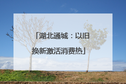 湖北通城：以旧换新激活消费热