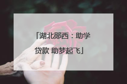 湖北郧西：助学贷款 助梦起飞