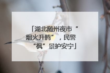 湖北随州夜市“烟火升腾”，民警“枫”景护安宁