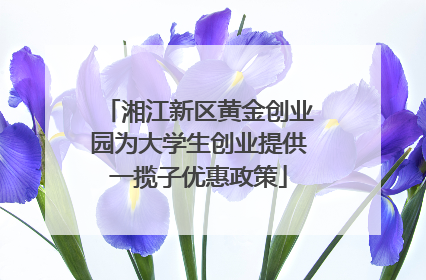 湘江新区黄金创业园为大学生创业提供一揽子优惠政策