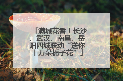 满城花香！长沙、武汉、南昌、岳阳四城联动“送你十万朵栀子花”