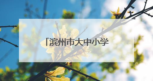 滨州市大中小学思政课一体化建设推进会举办