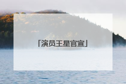 演员王星官宣
