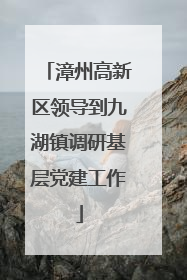 漳州高新区领导到九湖镇调研基层党建工作