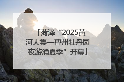 菏泽“2025黄河大集—曹州牡丹园夜游消夏季”开幕
