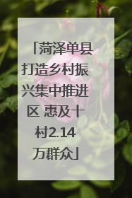 菏泽单县打造乡村振兴集中推进区 惠及十村2.14万群众