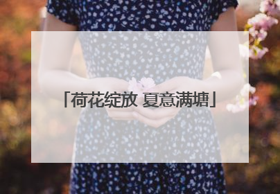 荷花绽放 夏意满塘