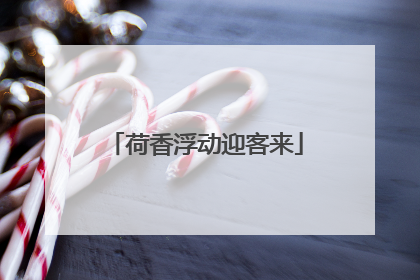 荷香浮动迎客来