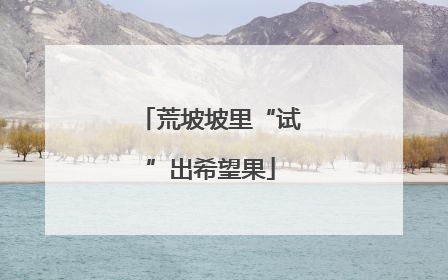 荒坡坡里“试”出希望果
