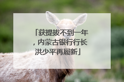获提拔不到一年，内蒙古银行行长洪少平再履新