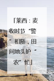 莱西：麦收时节“警”相随，田间地头护“农”忙