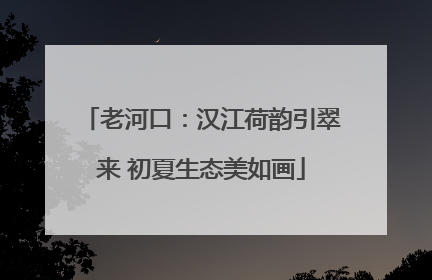 老河口：汉江荷韵引翠来 初夏生态美如画