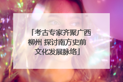 考古专家齐聚广西柳州 探讨南方史前文化发展脉络