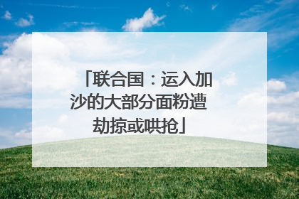 联合国：运入加沙的大部分面粉遭劫掠或哄抢