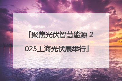 聚焦光伏智慧能源 2025上海光伏展举行