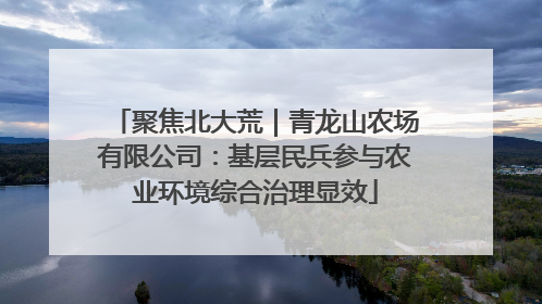聚焦北大荒｜青龙山农场有限公司：基层民兵参与农业环境综合治理显效