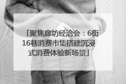 聚焦廊坊经洽会：6街16巷消费市集搭建沉浸式消费体验新场景