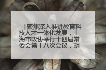 聚焦深入推进教育科技人才一体化发展，上海市政协举行十四届常委会第十八次会议，胡文容出席并讲话