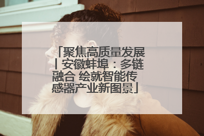 聚焦高质量发展丨安徽蚌埠：多链融合 绘就智能传感器产业新图景