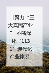 聚力“三大富民产业” 不断深化“1131”现代化产业体系
