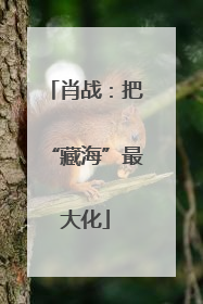 肖战：把“藏海”最大化