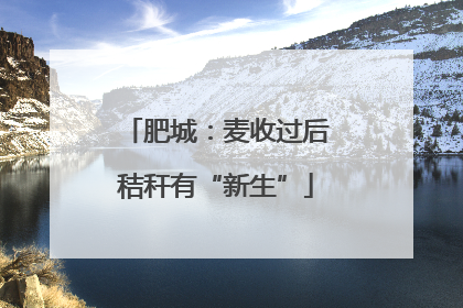 肥城：麦收过后秸秆有“新生”