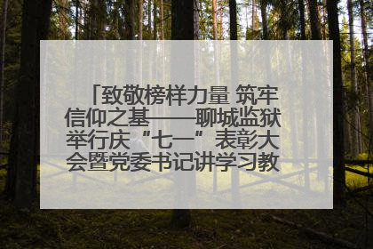 致敬榜样力量 筑牢信仰之基——聊城监狱举行庆“七一”表彰大会暨党委书记讲学习教育专题党课