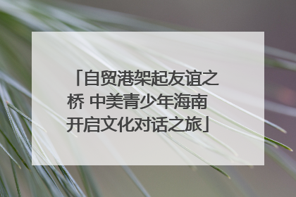 自贸港架起友谊之桥 中美青少年海南开启文化对话之旅