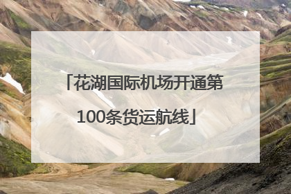 花湖国际机场开通第100条货运航线