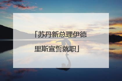 苏丹新总理伊德里斯宣誓就职