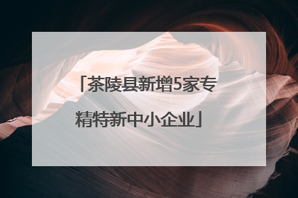 茶陵县新增5家专精特新中小企业