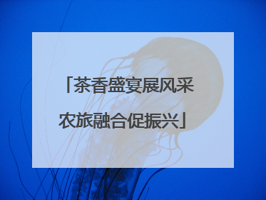 茶香盛宴展风采 农旅融合促振兴