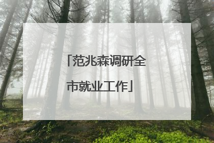 范兆森调研全市就业工作