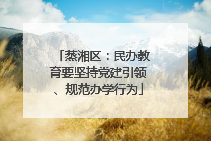 蒸湘区：民办教育要坚持党建引领、规范办学行为